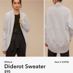 Aritzia Diderot sweater